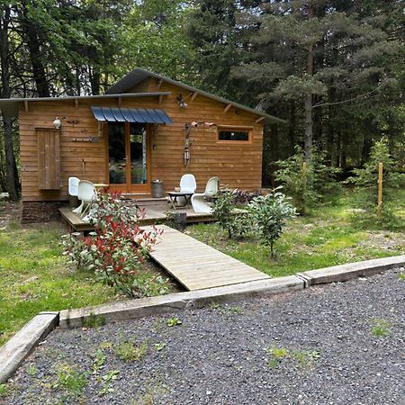 Chalet Libellule Domaine De La Mamounette Champclause Ngoại thất bức ảnh