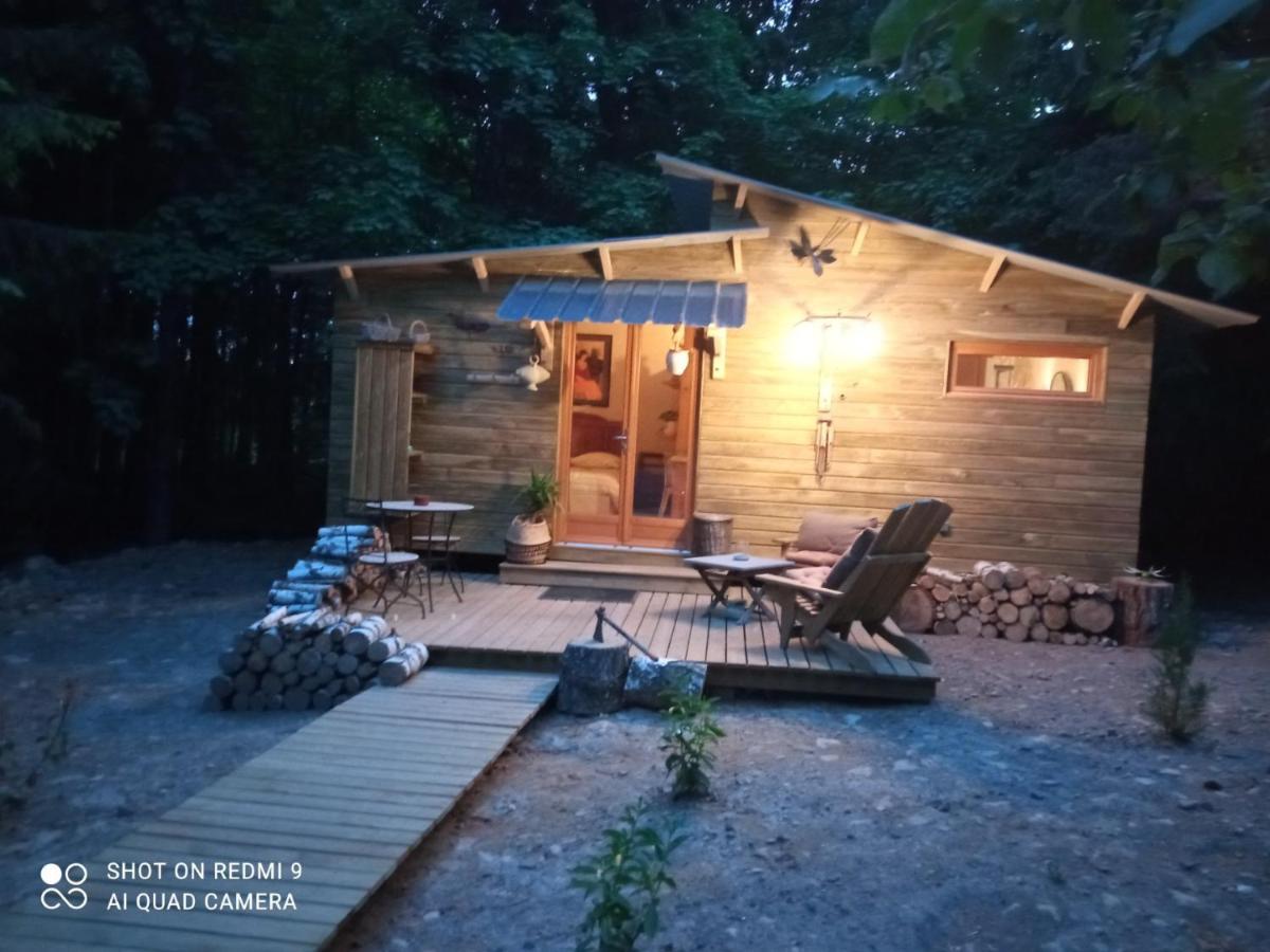 Chalet Libellule Domaine De La Mamounette Champclause Ngoại thất bức ảnh
