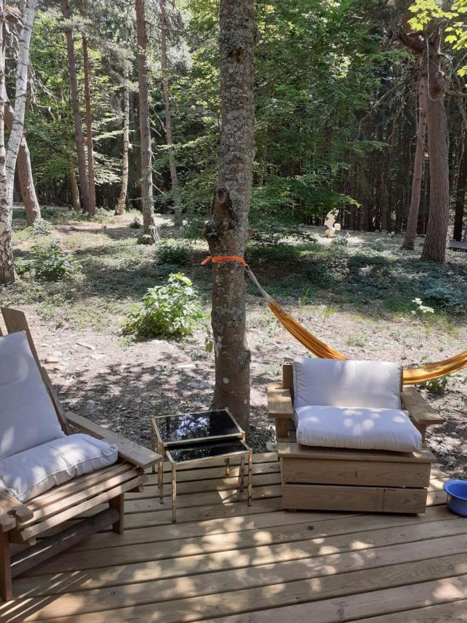 Chalet Libellule Domaine De La Mamounette Champclause Ngoại thất bức ảnh