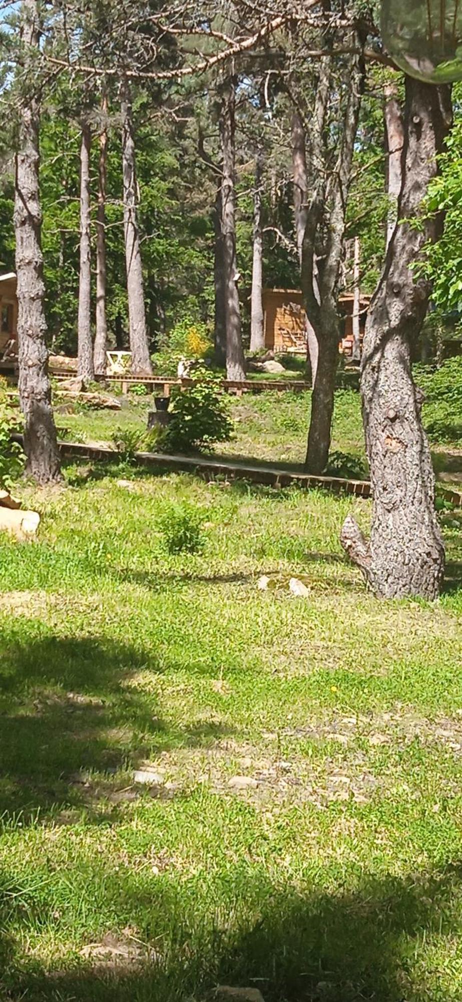 Chalet Libellule Domaine De La Mamounette Champclause Ngoại thất bức ảnh